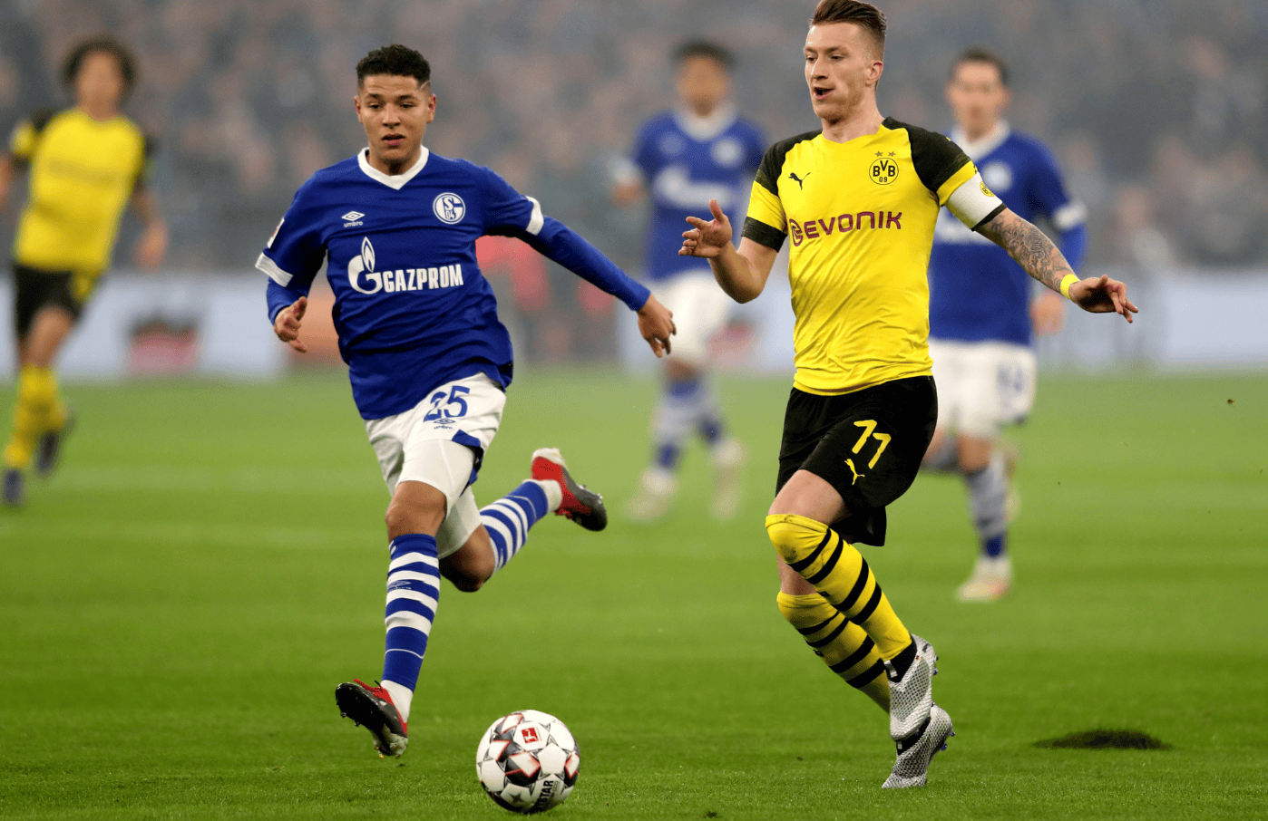 赛后德国杯焦点战，多伦多猛龙遗憾出局，态度坚定，控场能力受关注(德纳59次对决明细图)